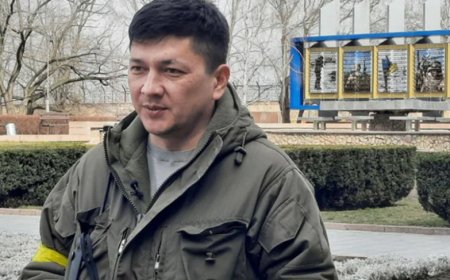Віталій Кім і миколаївська модель стійкості України