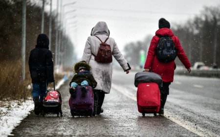 Українські біженці повертаються додому, змінюючи міграційний баланс