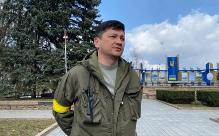 Віталій Кім розповів про візит до Південної Кореї