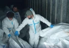 В Україну повернули тіла 252 загиблих: експерти встановлять їхні особи