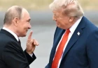 Зеленський закликав Трампа посилити тиск на Путіна заради переговорів