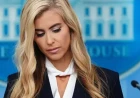 Обмовка Кеті Закарії породила хибні чутки про зв’язок із Трампом