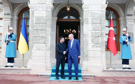 Ердоган і Зеленський у Стамбулі говорять про війну й безпеку Чорного моря