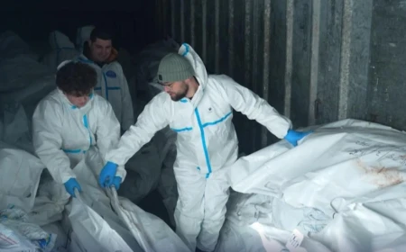 В Україну повернули тіла 252 загиблих: експерти встановлять їхні особи